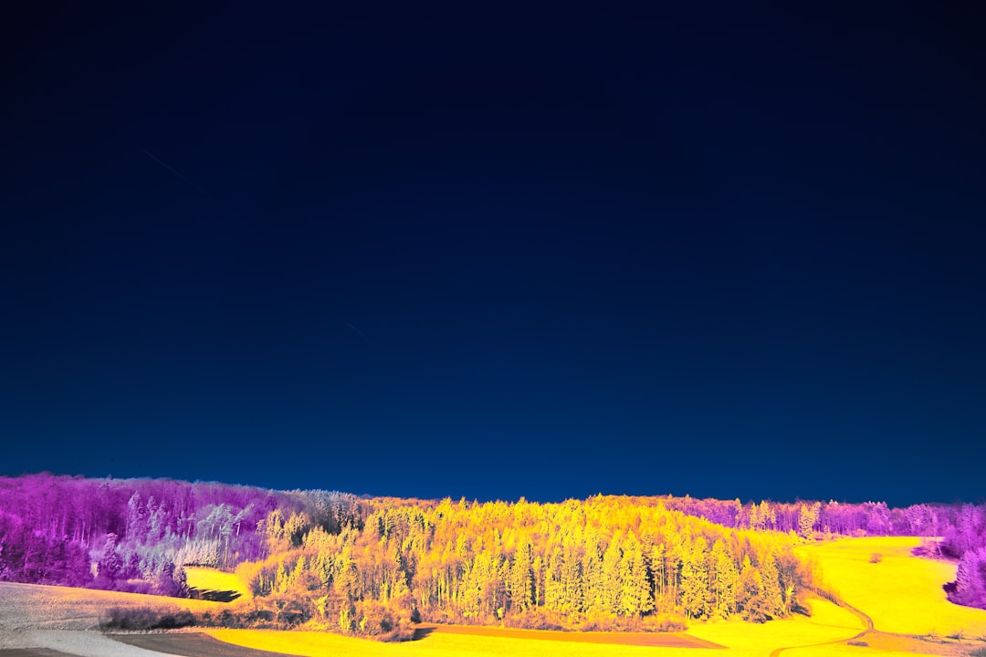 AI climate prediction simulation